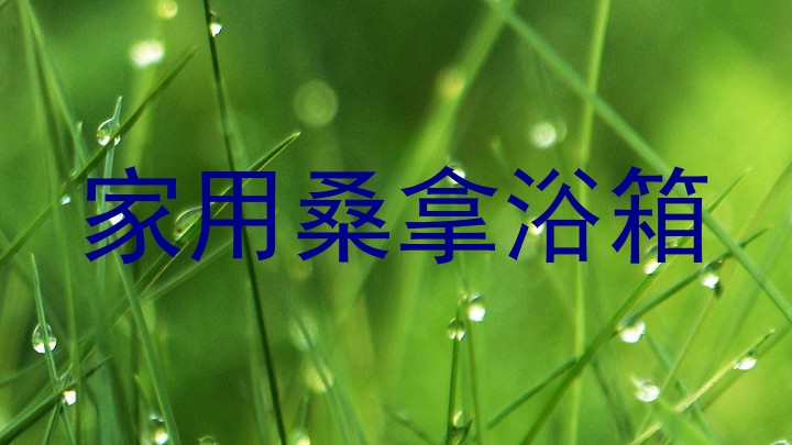 家用桑拿浴箱