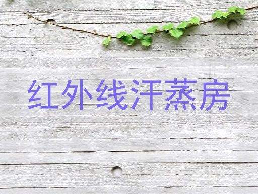 红外线汗蒸房