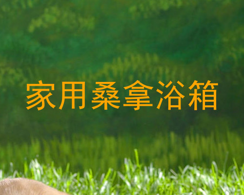 家用桑拿浴箱