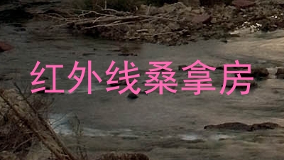 红外线桑拿房