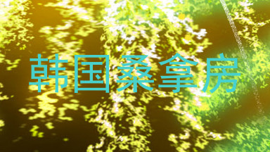 韩国桑拿房