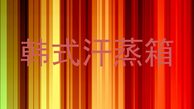 韩式汗蒸箱