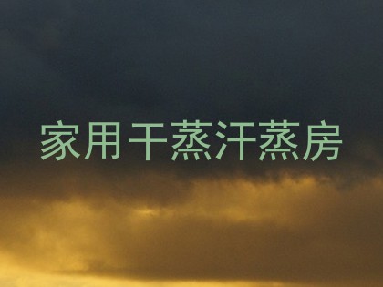 家用干蒸汗蒸房