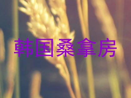 韩国桑拿房