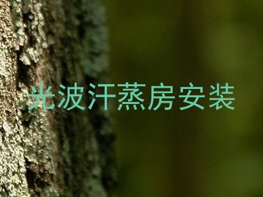 光波汗蒸房安装