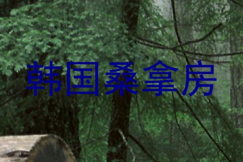 韩国桑拿房