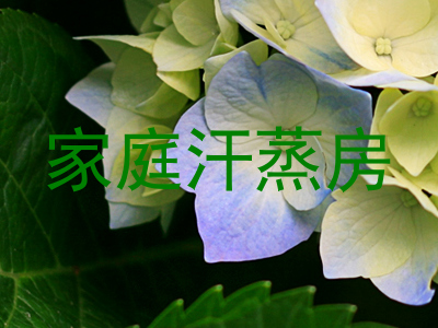家庭汗蒸房