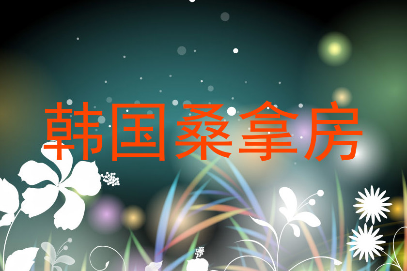韩国桑拿房