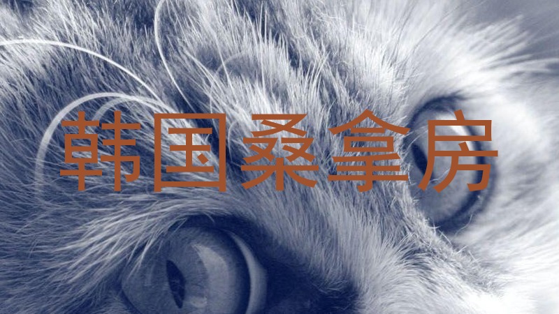 韩国桑拿房