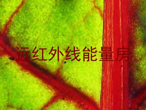 远红外线能量房