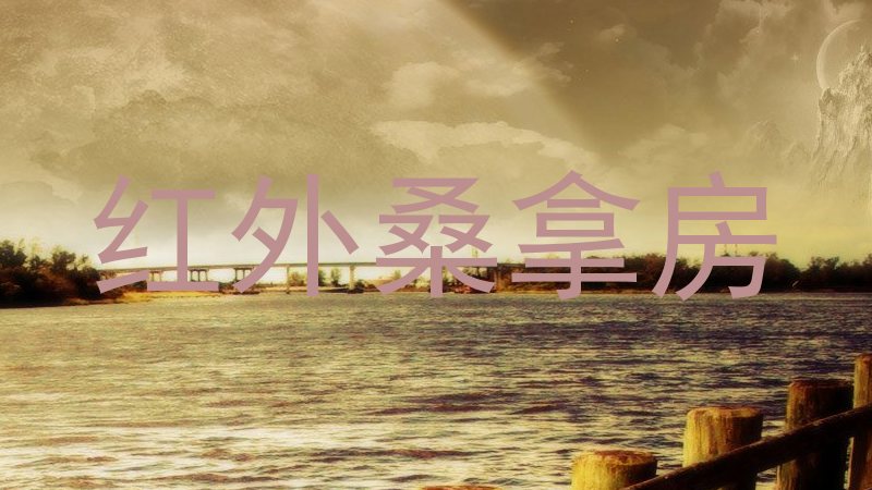 红外桑拿房