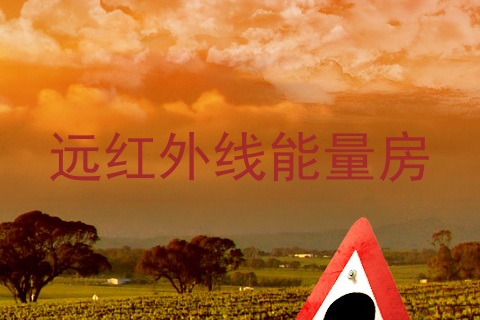 远红外线能量房