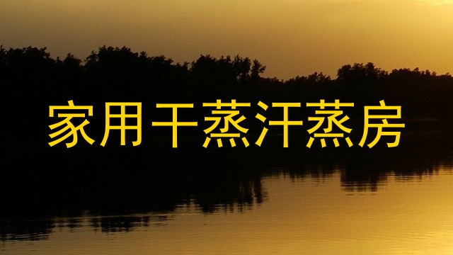 家用干蒸汗蒸房