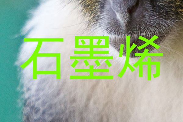 石墨烯