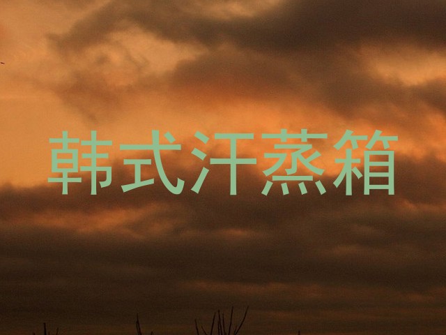 韩式汗蒸箱