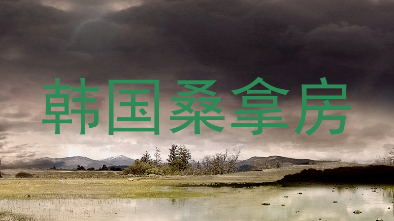 韩国桑拿房