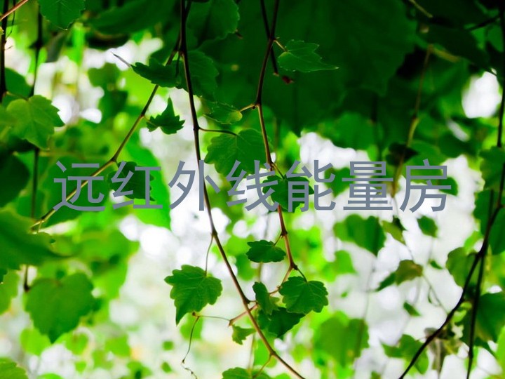 远红外线能量房
