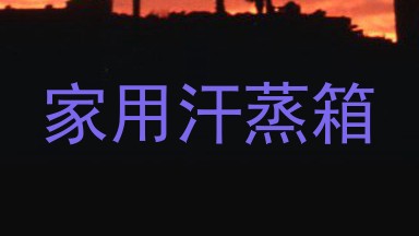 家用汗蒸箱