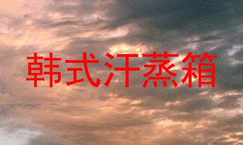 韩式汗蒸箱