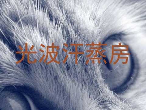 光波汗蒸房