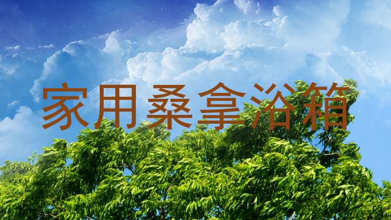 家用桑拿浴箱