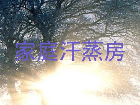 家庭汗蒸房
