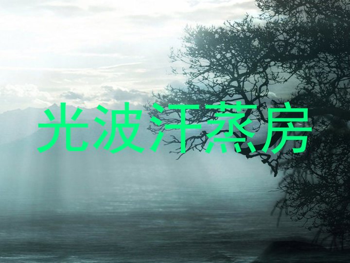 光波汗蒸房