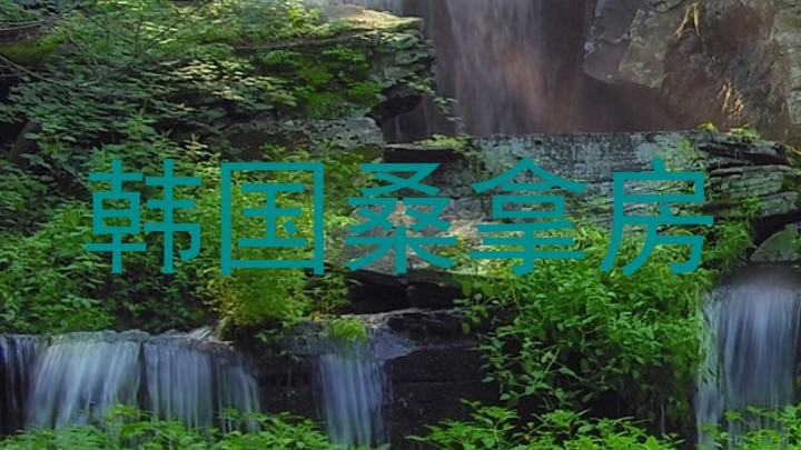 韩国桑拿房