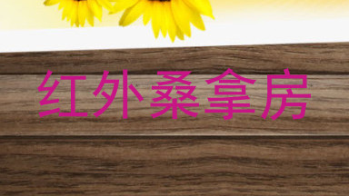 红外桑拿房