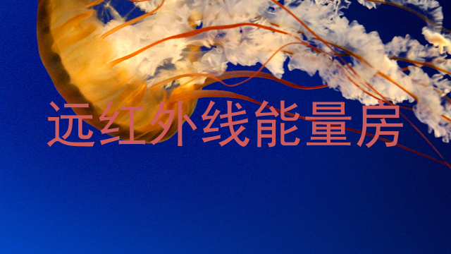 远红外线能量房