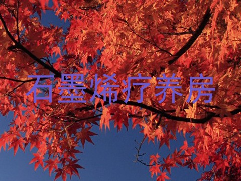 石墨烯疗养房