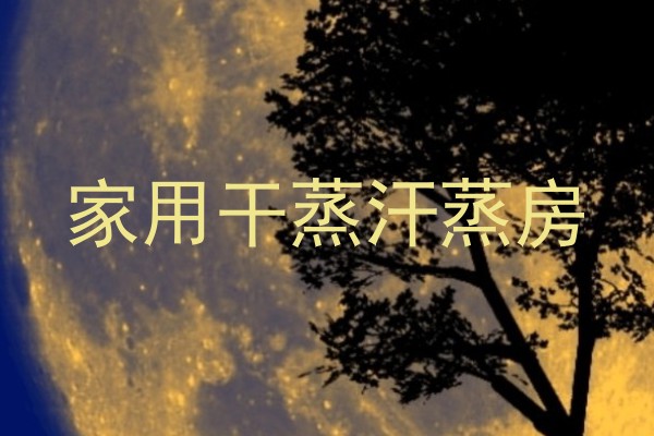 家用干蒸汗蒸房