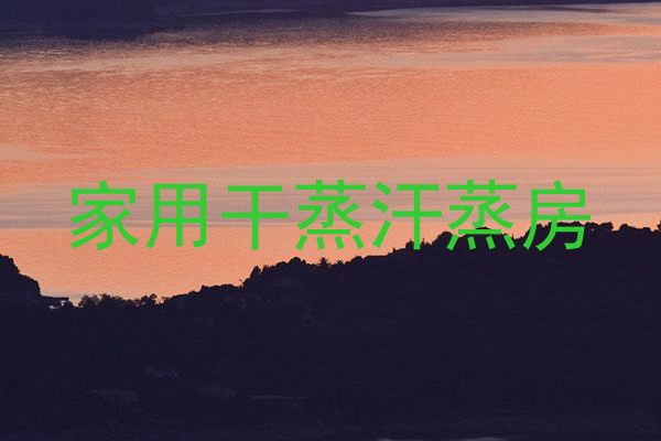 家用干蒸汗蒸房