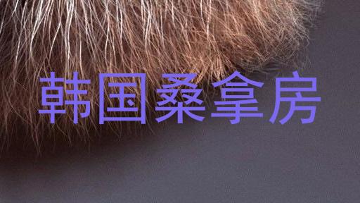 韩国桑拿房