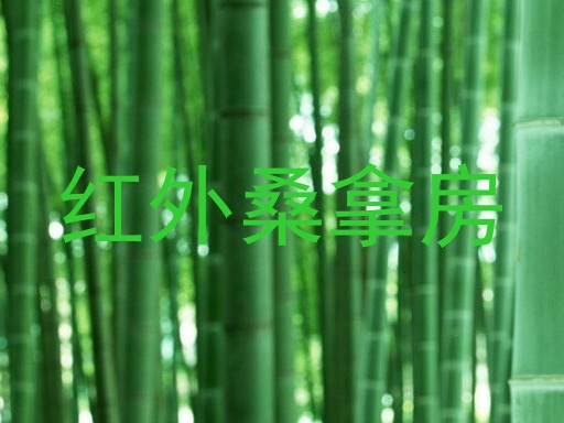 红外桑拿房