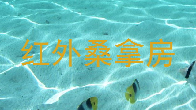 红外桑拿房