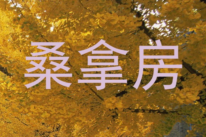 桑拿房