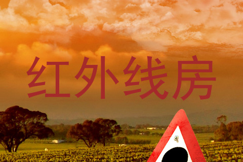 红外线房