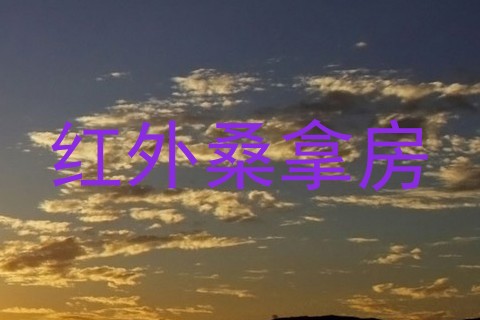 红外桑拿房