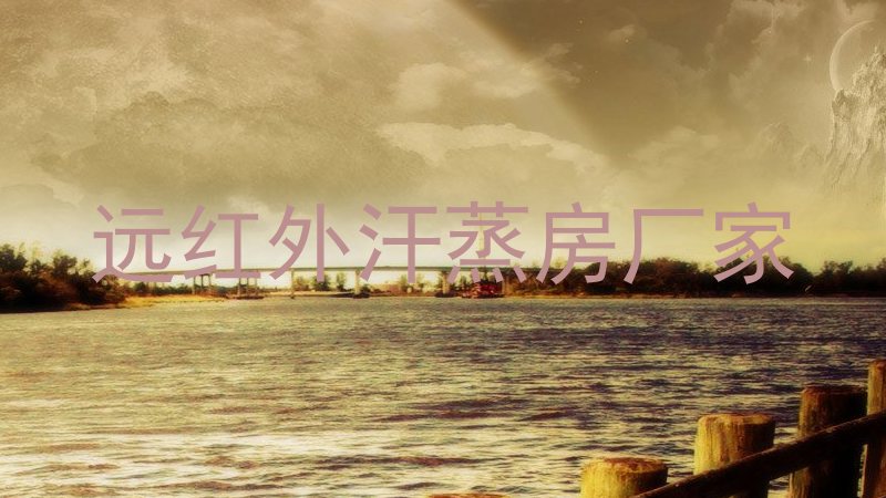 远红外汗蒸房厂家