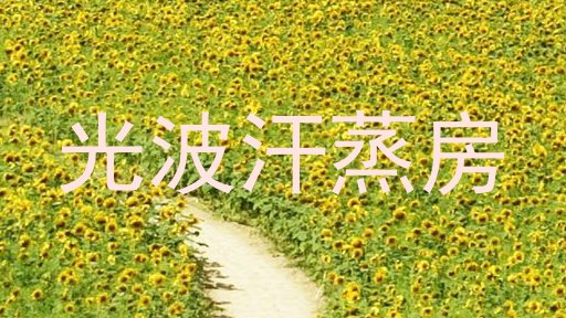 光波汗蒸房