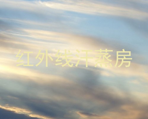 红外线汗蒸房