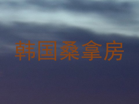 韩国桑拿房