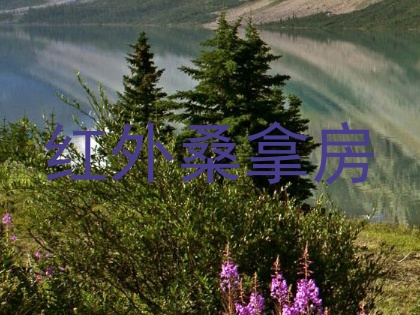 红外桑拿房