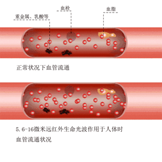 4.gif