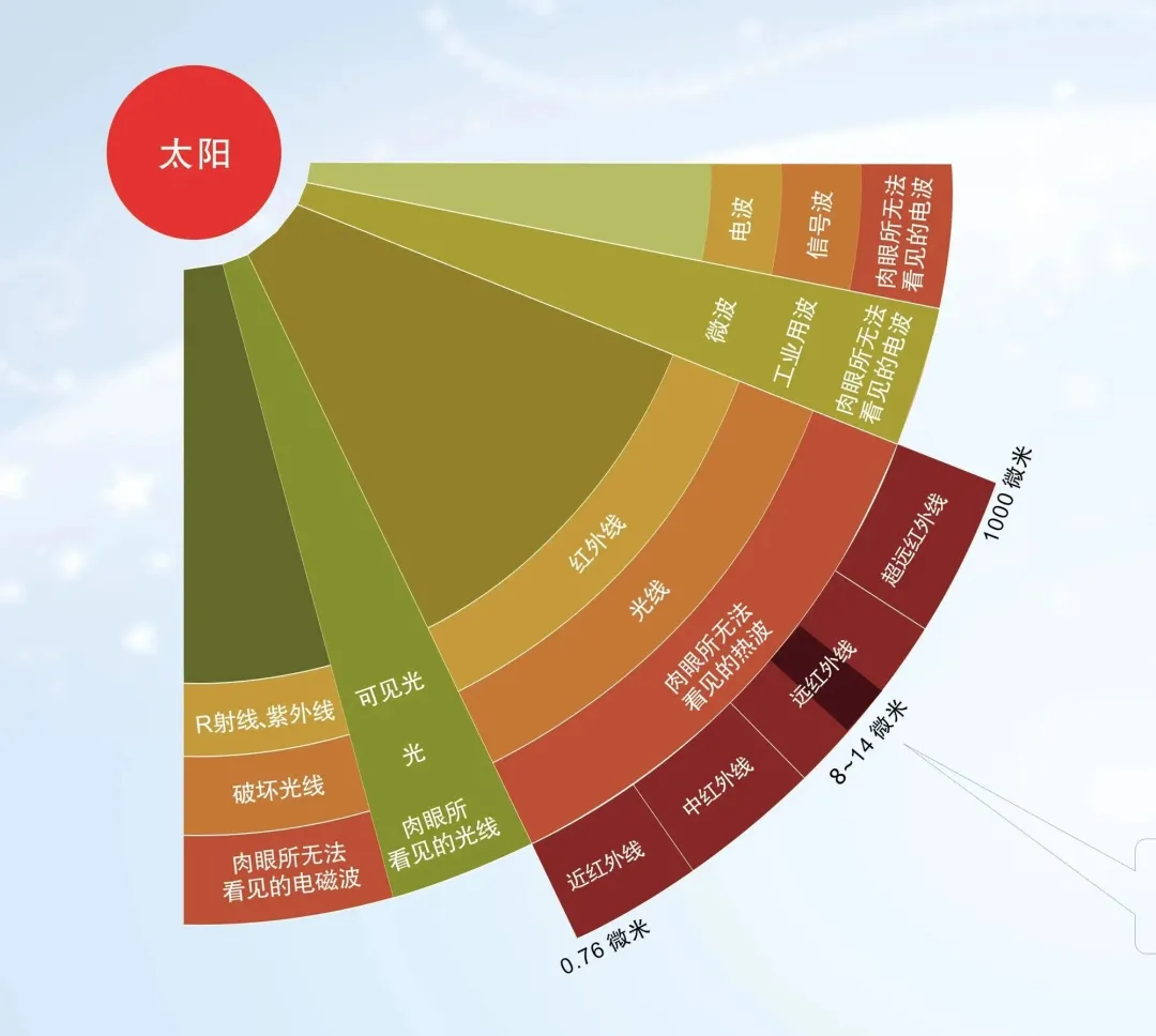1.webp
