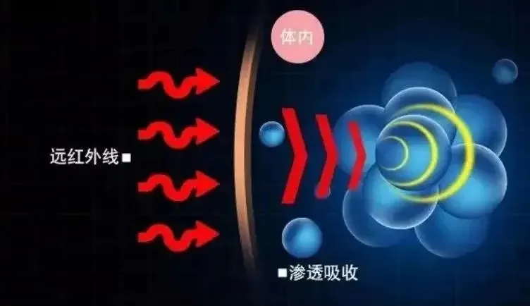 2.webp